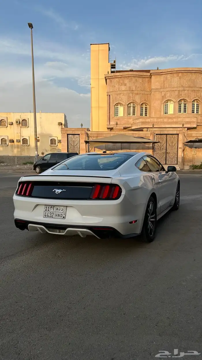 موستنج 2016 3