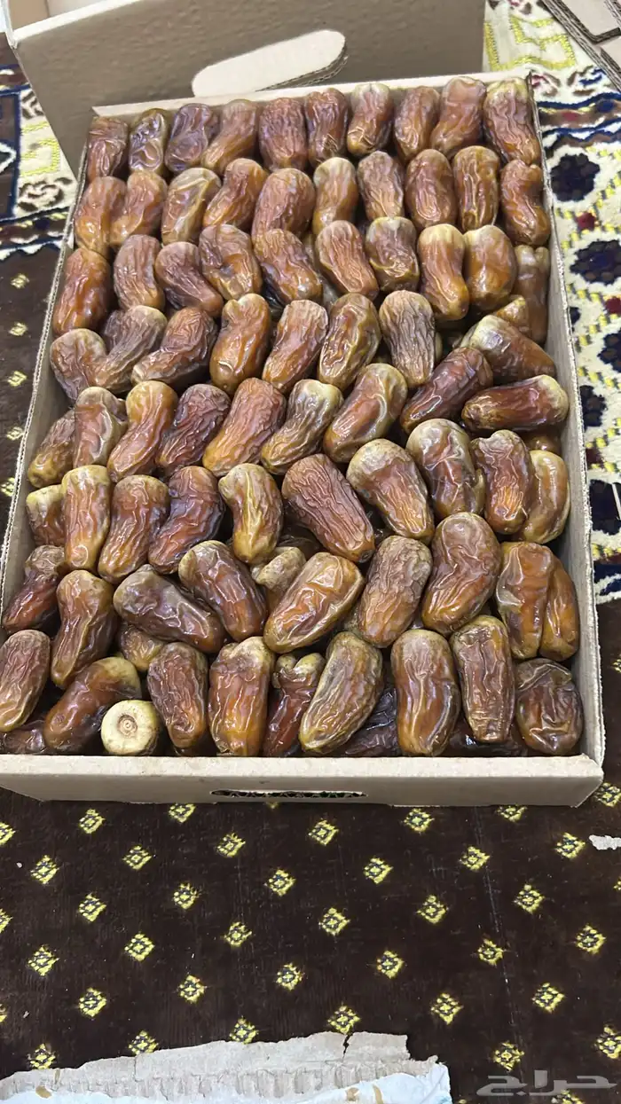 تمر برني للبيع ( تم البيع ) 0