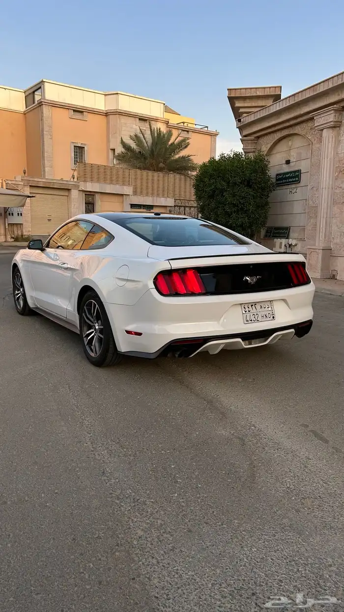 موستنج 2016 5