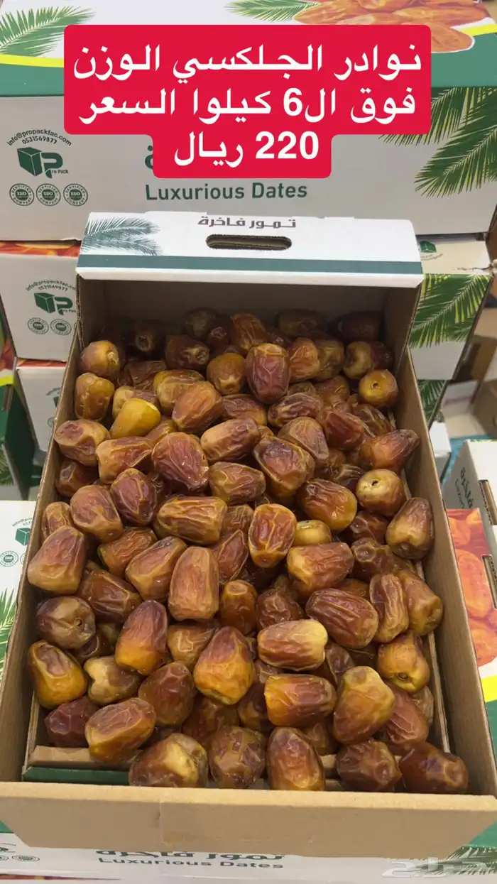 نوادر المفتل والجلكسي 0