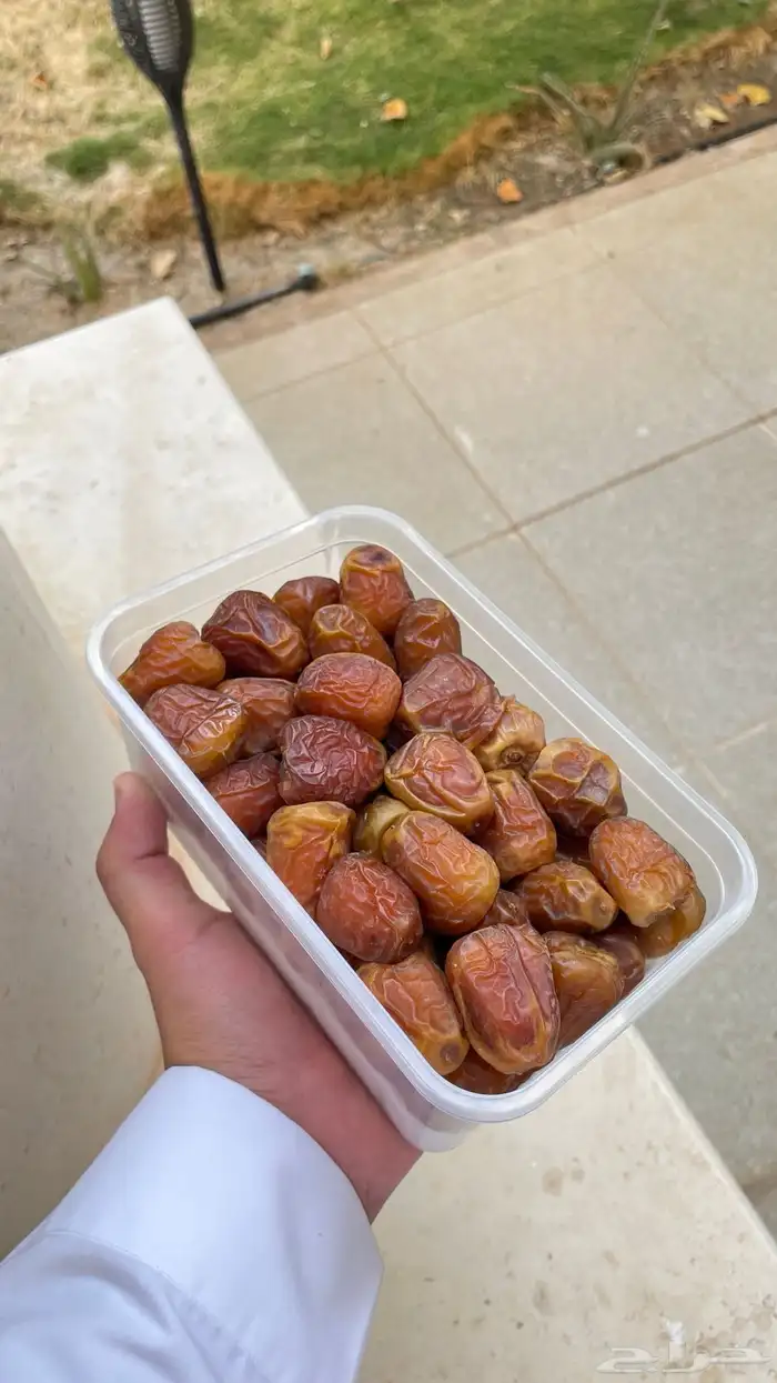 تمر مفتل و جلكسي 3