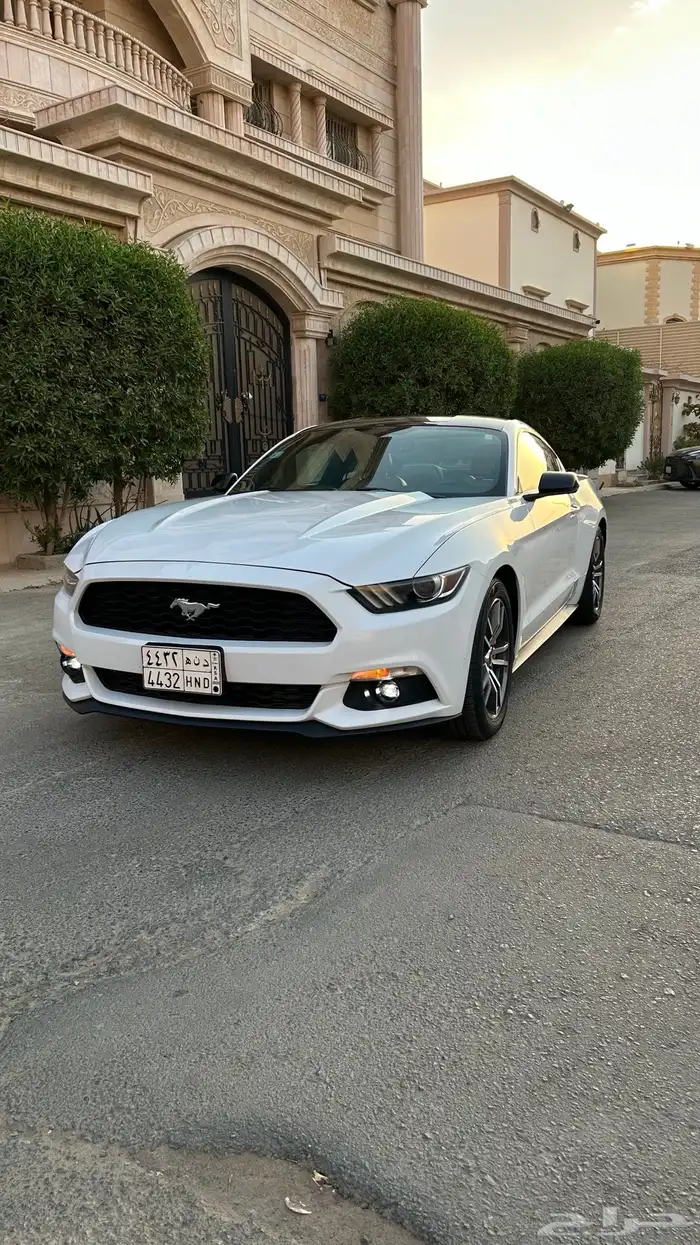 موستنج 2016 0