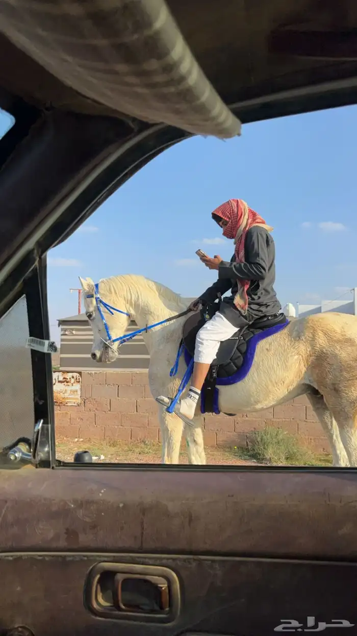 سلام عليكم 3