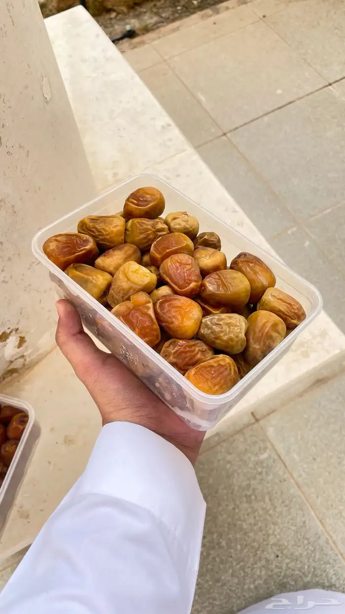 تمر مفتل و جلكسي 2