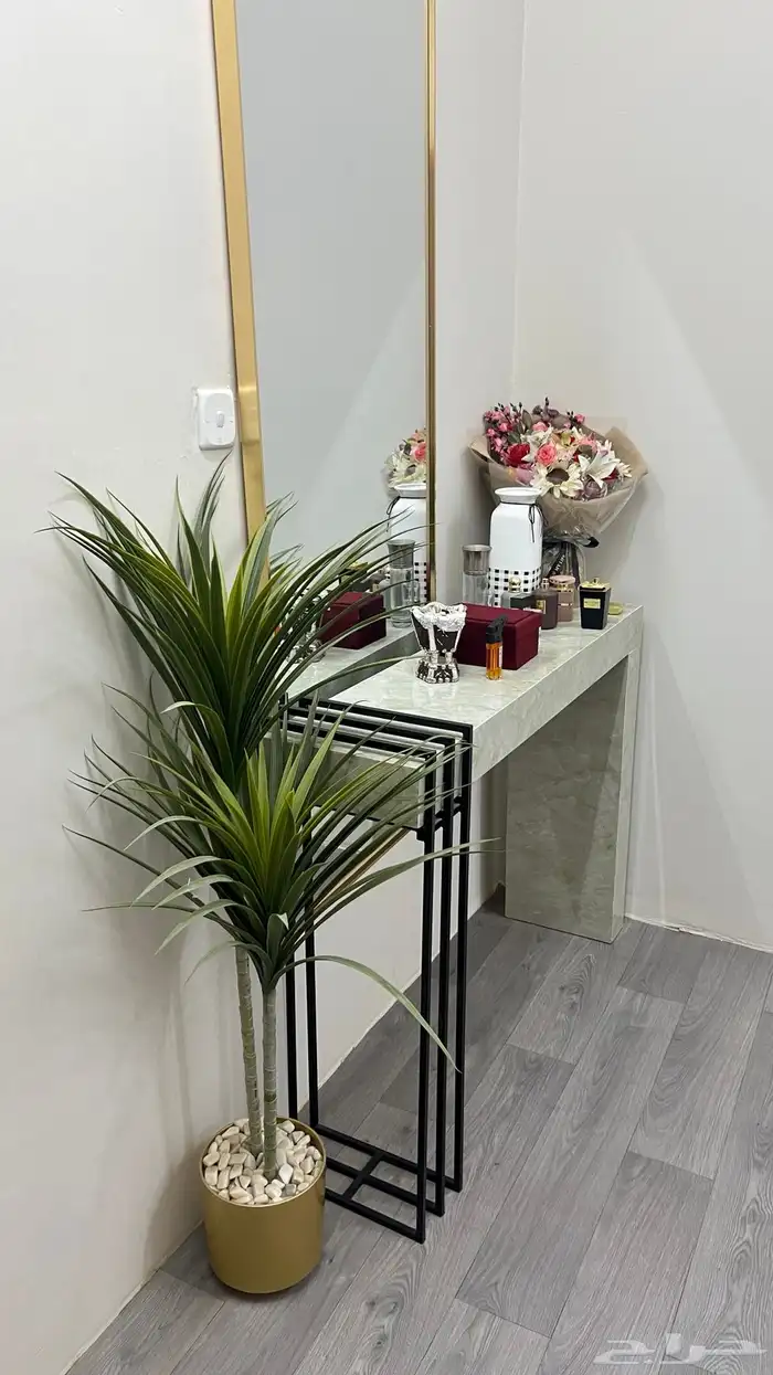 مدخل استقبال 2