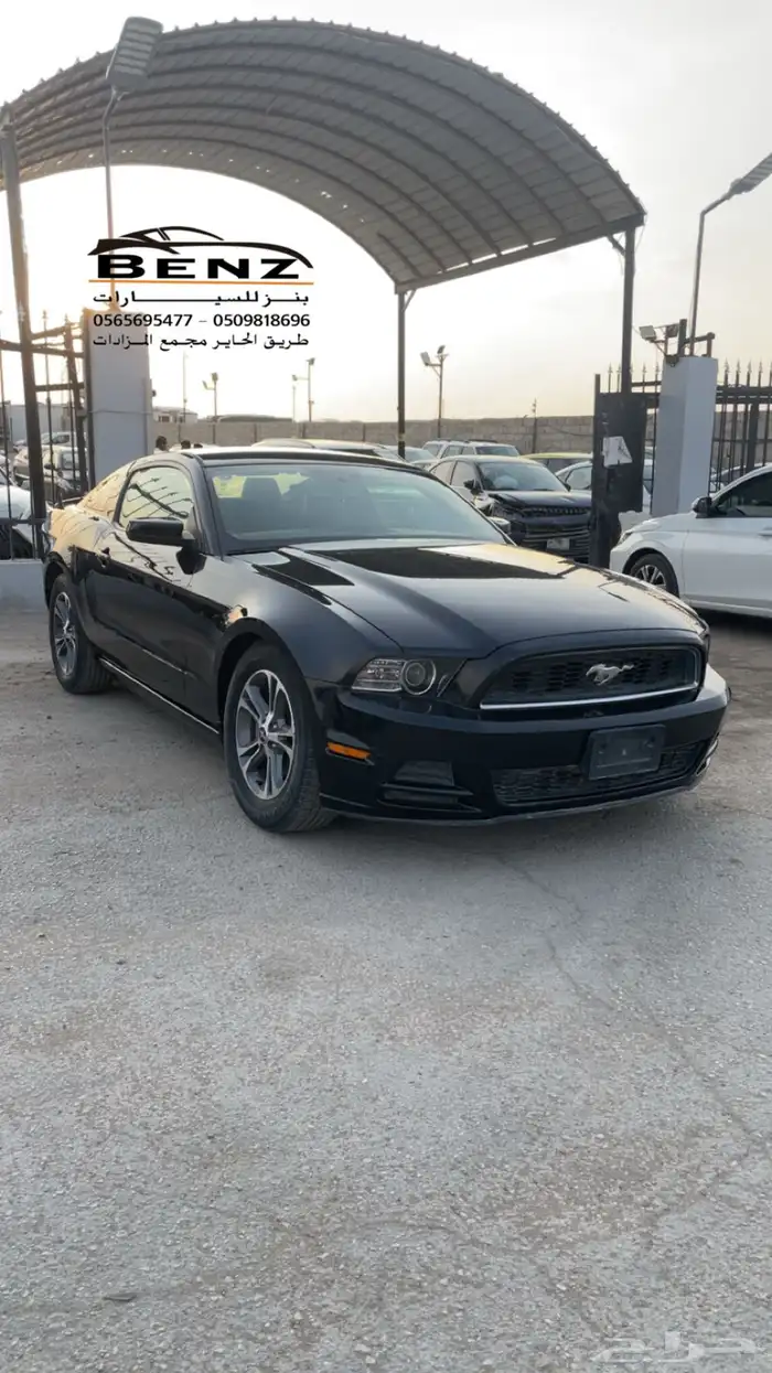 فورد موستنج غير مصدوم 11