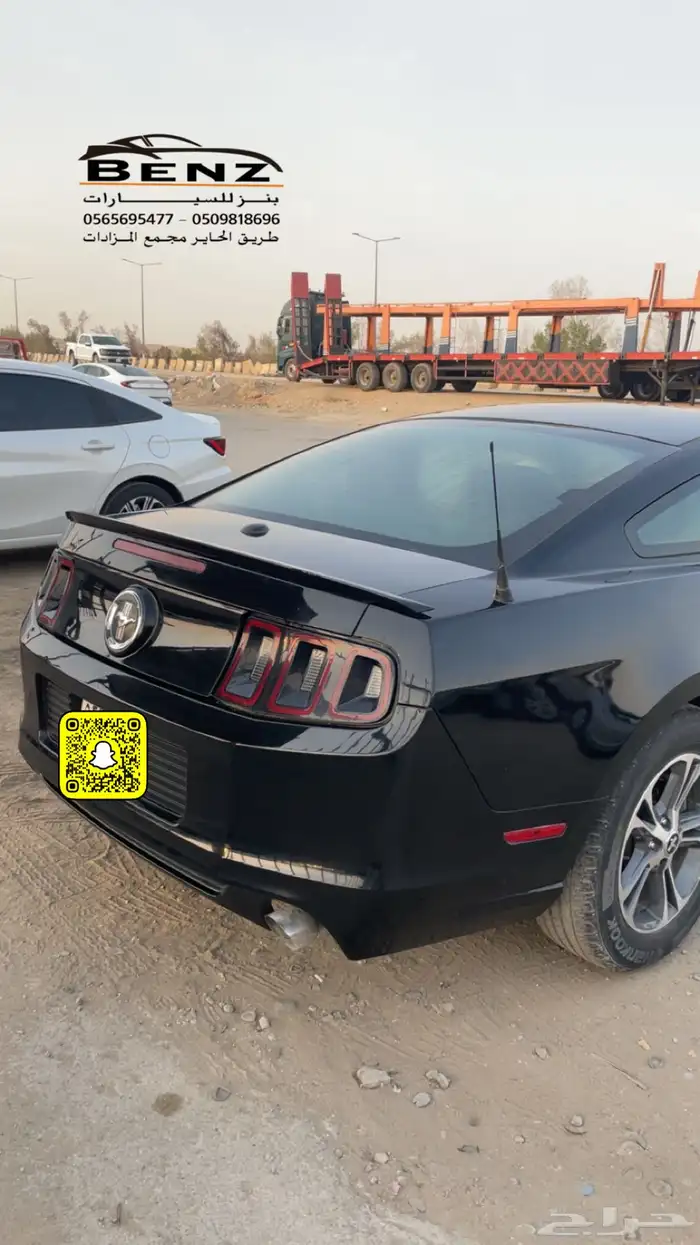 فورد موستنج غير مصدوم 8