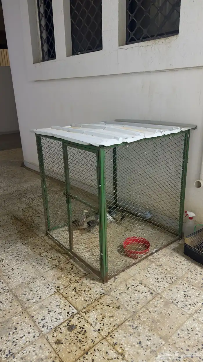 شبك بقلاوة 0