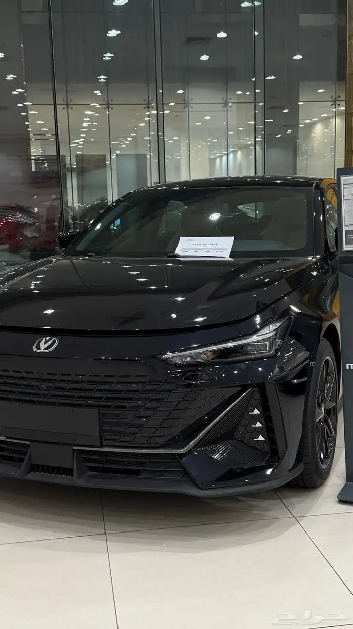 شانجان يوني في سبورت مايتفوت عروض العودة للمدارس 0