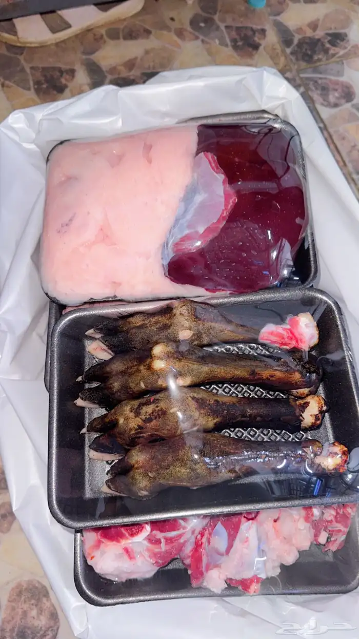 جميع انوع الذبائح البريه 5