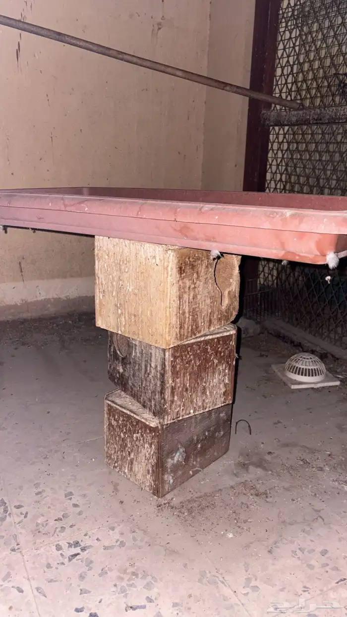 صناديق طيور 2