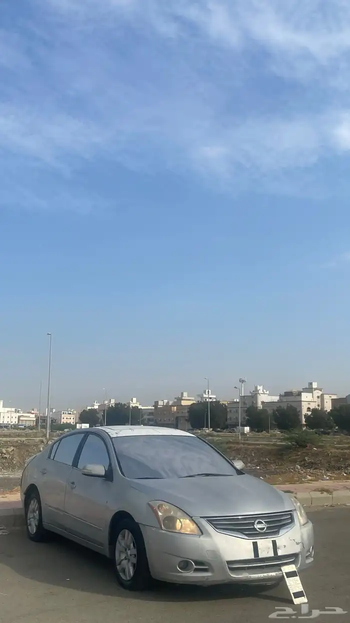 التيما موديل 2011 13