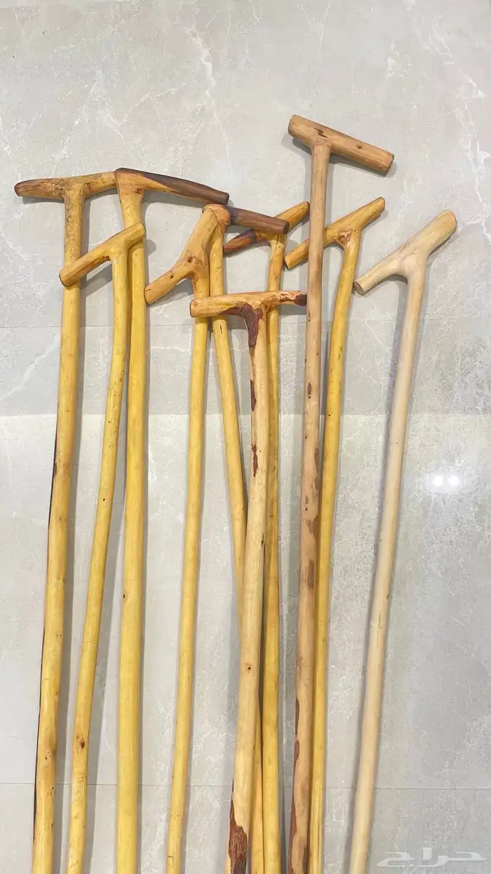 مشاعيب و عصي نشم مشروطة 1