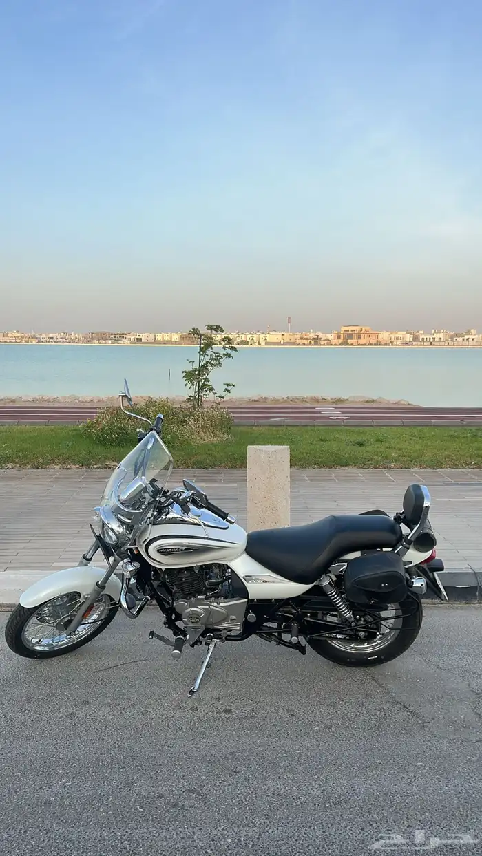 بجاج افنجر 2023 شبه جديد 2