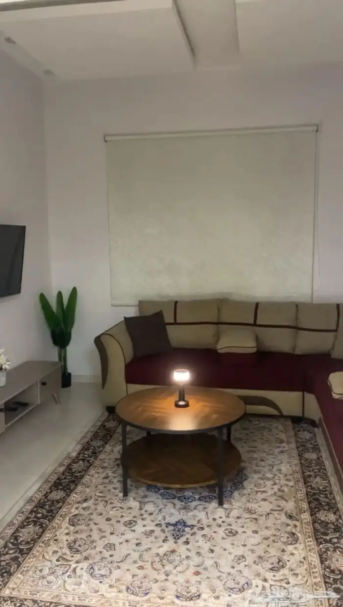 شقه مفروشه النماص 0