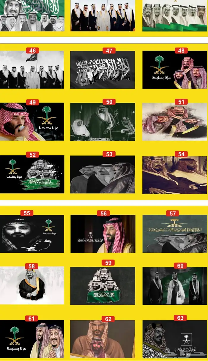 يتوفر إعلام وصور وعلم الكبوت لأغلب السيارات وقواعد 1