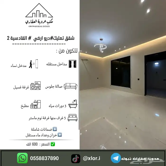 للبيع شقق تمليك دور ارضي تبوك حي القادسية 2 0