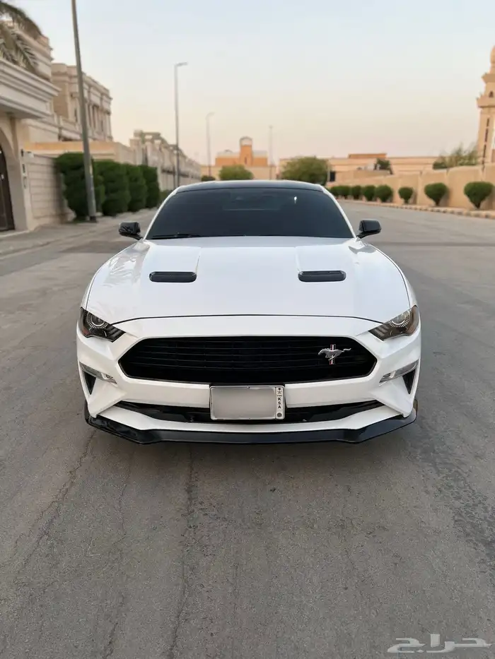 موستنق 2019 وكاله كالفورنيا سبيشل V8 2
