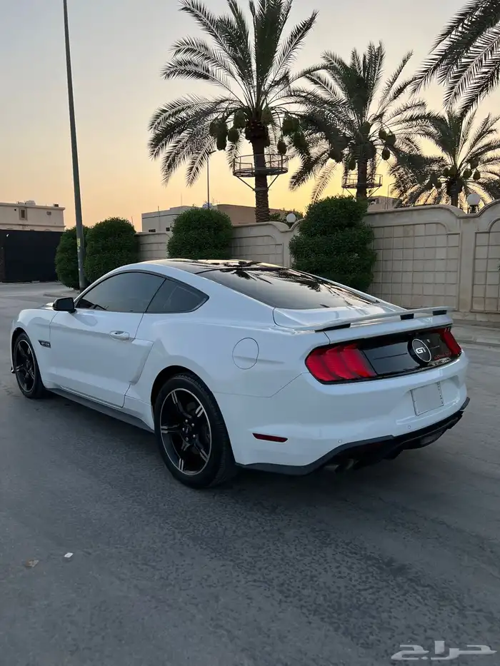 موستنق 2019 وكاله كالفورنيا سبيشل V8 4