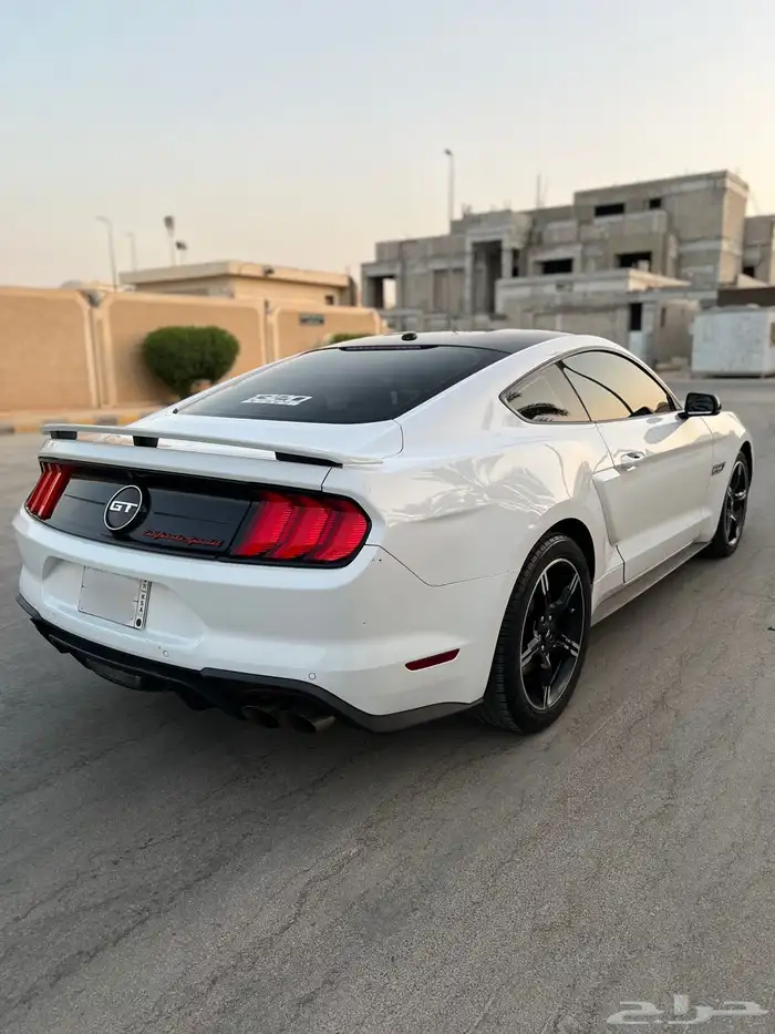 موستنق 2019 وكاله كالفورنيا سبيشل V8 3