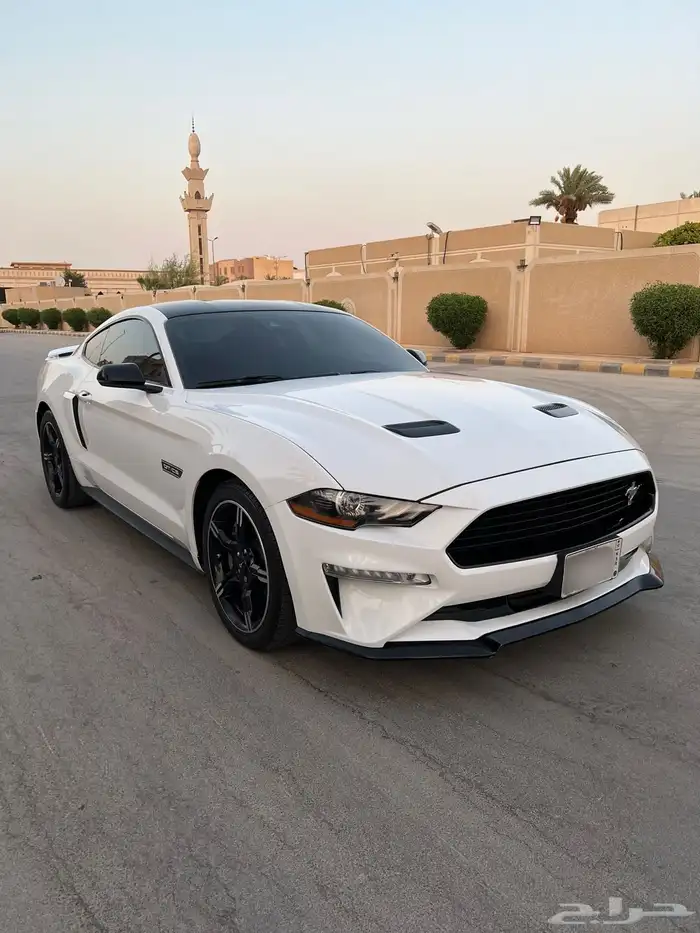 موستنق 2019 وكاله كالفورنيا سبيشل V8 1