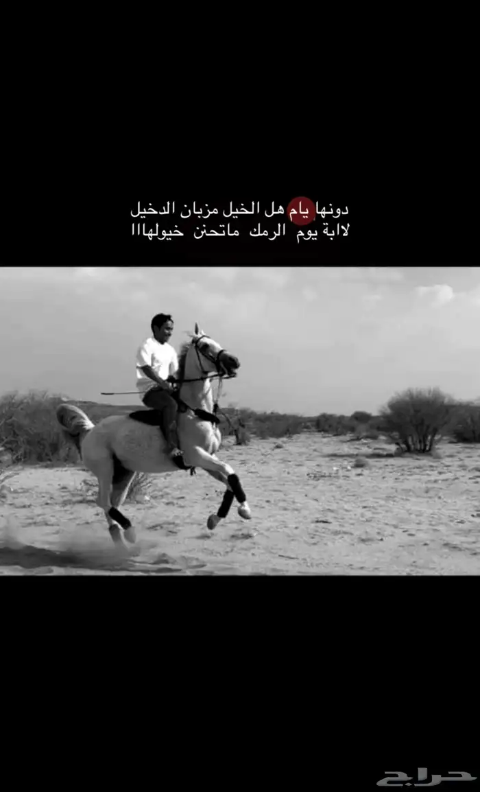 فرس شعبيه من نوادر الشعبيات كفووو جدا 2