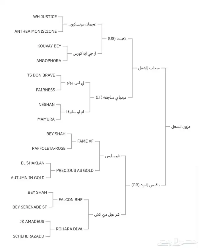 فرس حفيدة فرزاتشي 9