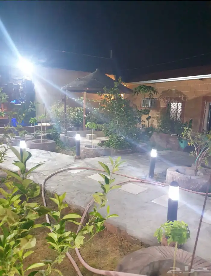 استراحة الغابه للإيجار 14