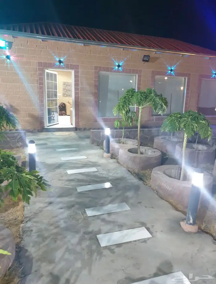 استراحة الغابه للإيجار 12