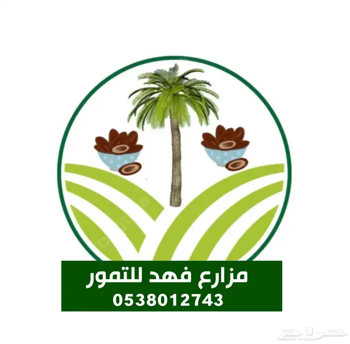 تمر ملكي فاخر شي طيب ونضيف 2