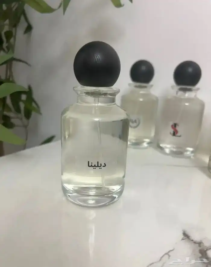 عرض 10 عطور 100 مل 200 31