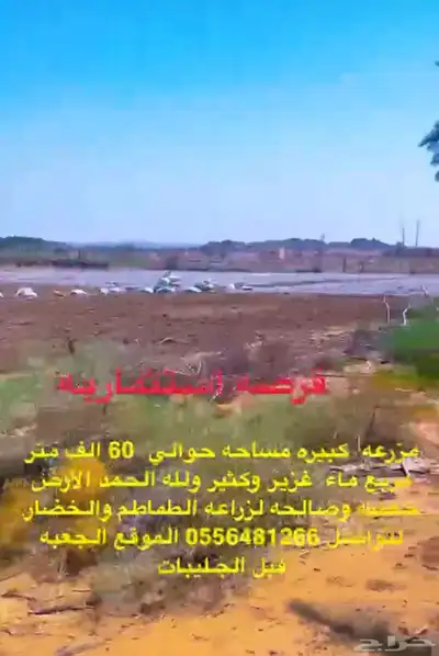 مزرعه للأجار تقع في الجعبه 0