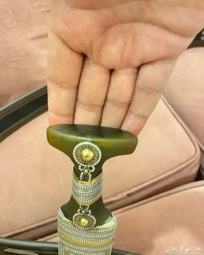 جنبيه زراف كفو 2
