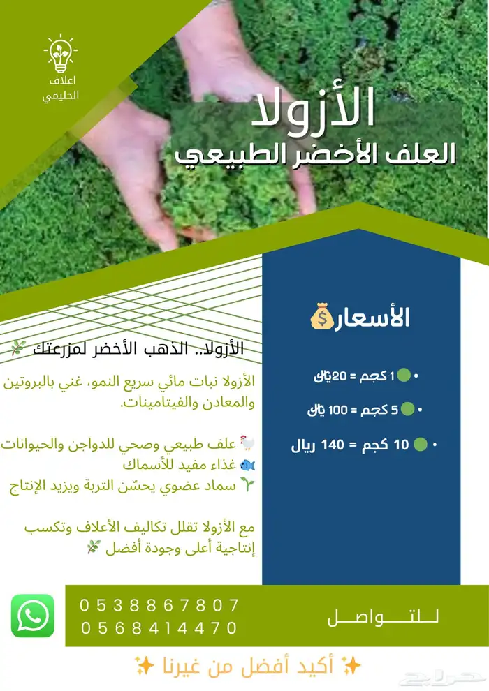 علف ازولا مجانا (الاحساء) 0