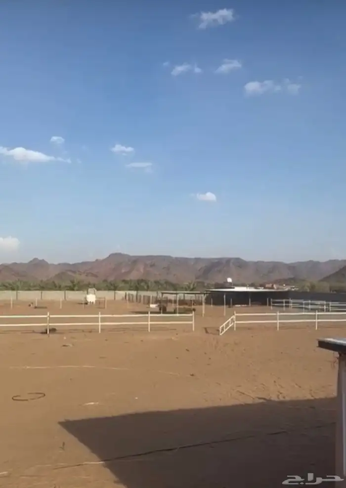 المدينه المندسه ( الجوه) 12