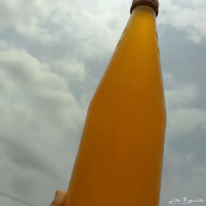 سمن بلدي 0