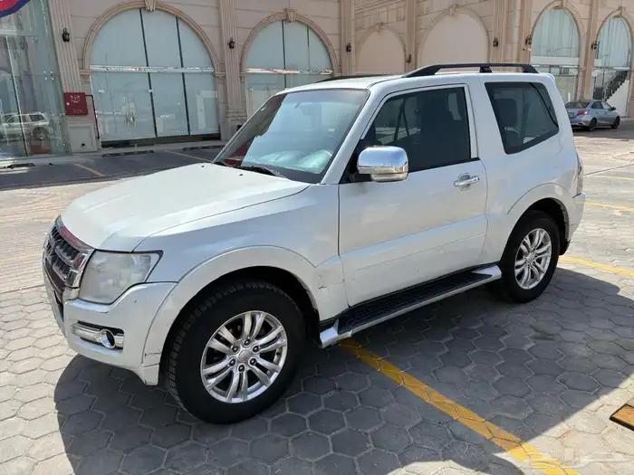باجيرو ربع 2016 0
