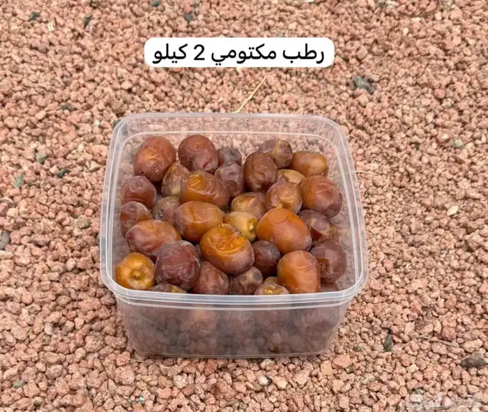 تمر حائل رطب و مناصيف جاهز للتبريد 6