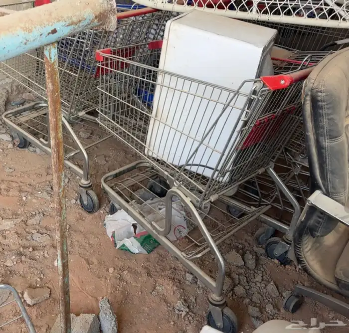 عربيات منهم كثير موجود وحلتهم جيده 0