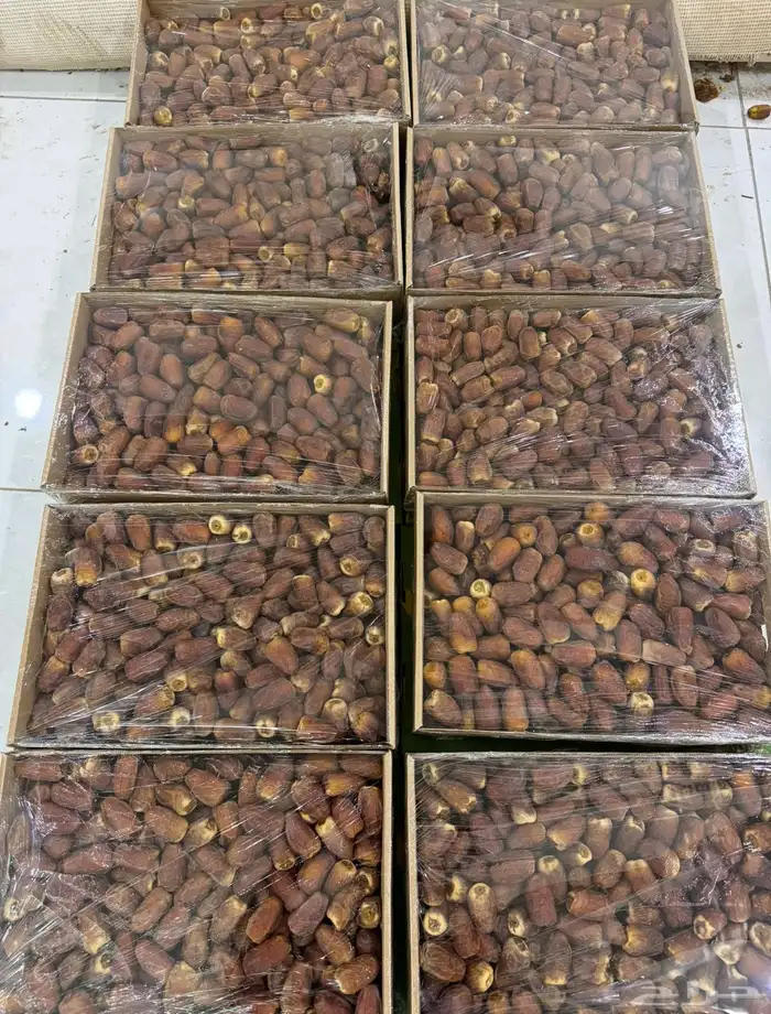 تمر حائل رطب و مناصيف جاهز للتبريد 4