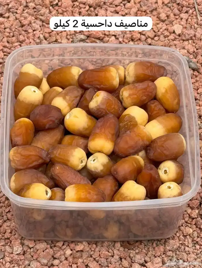 تمر حائل رطب و مناصيف جاهز للتبريد 0