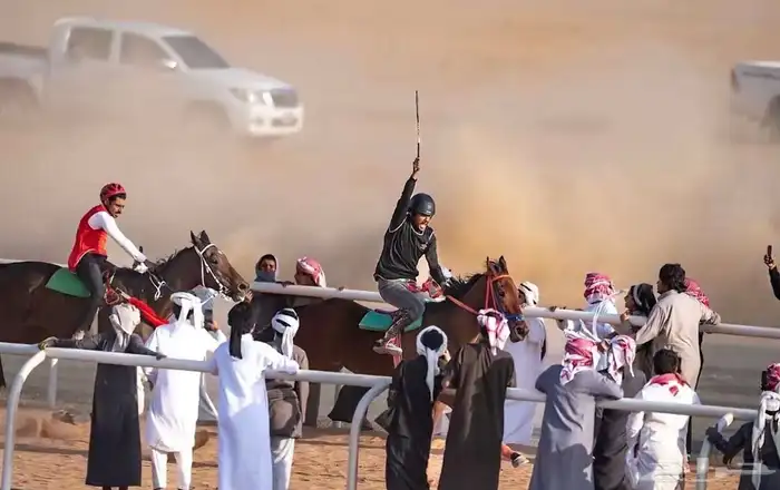 حصان انتاج بطل 2