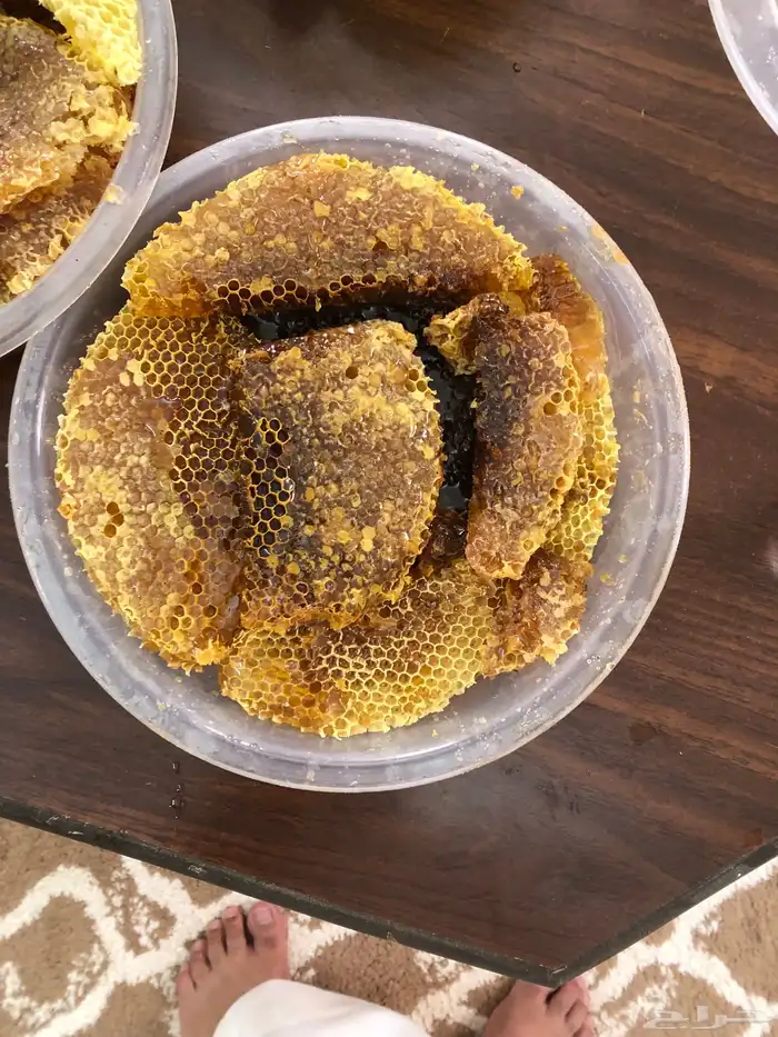 عسل شوكة للبيع 3