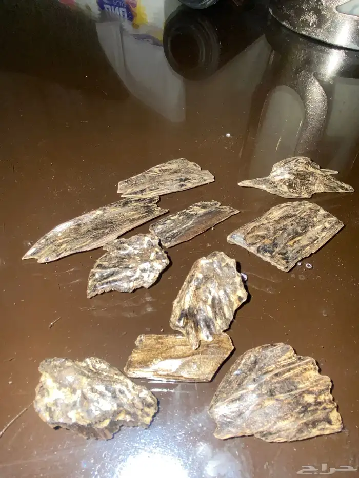 عود كلمنتان 0