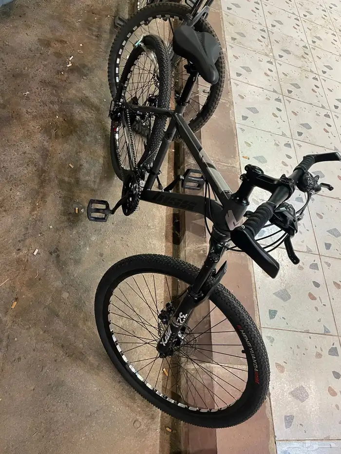 New cycle 0