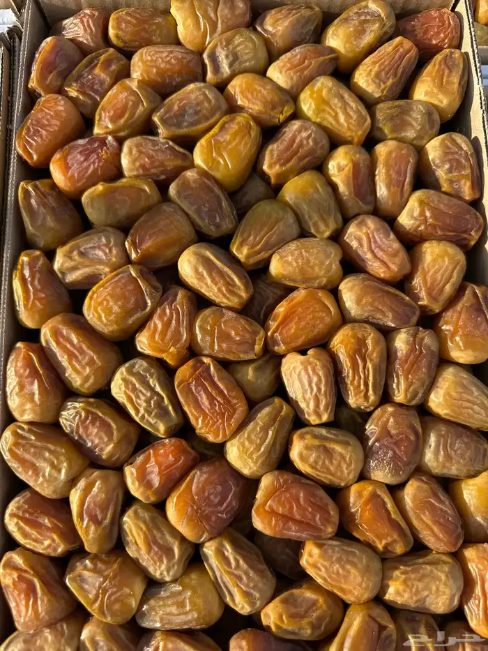 تمر مفتل ملكي شي طيب 0