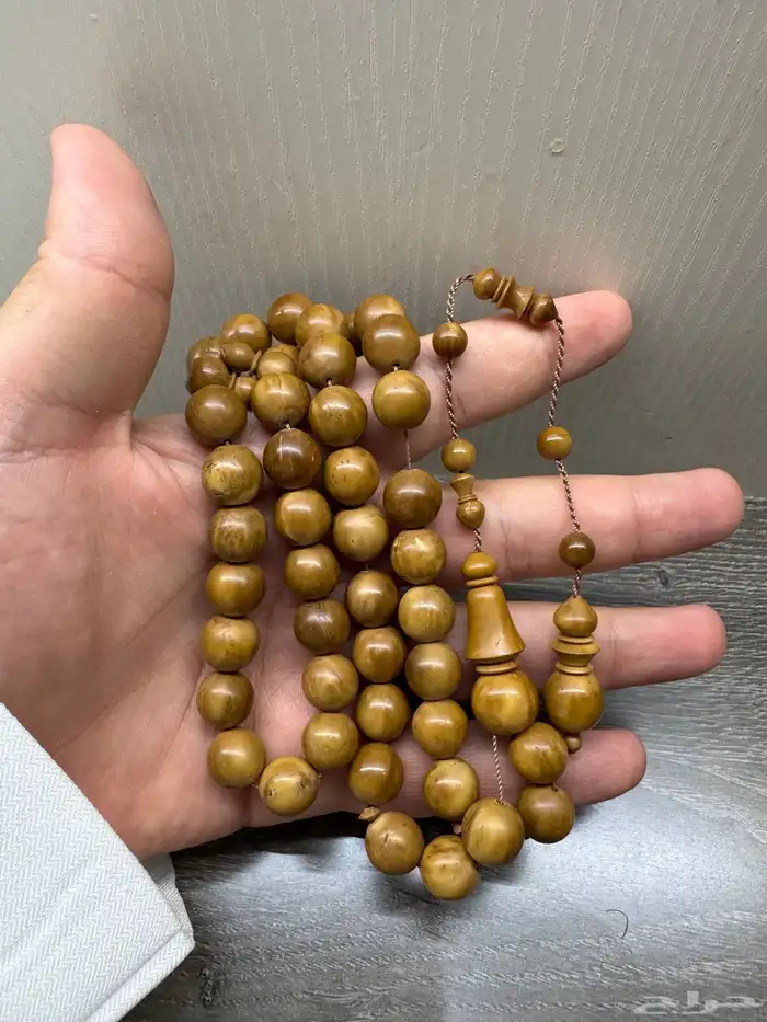 سبح ضومنه وبلياردو وكوك وفاتوران 7