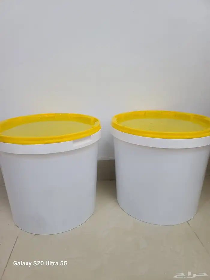 عسل طلح حايل 1