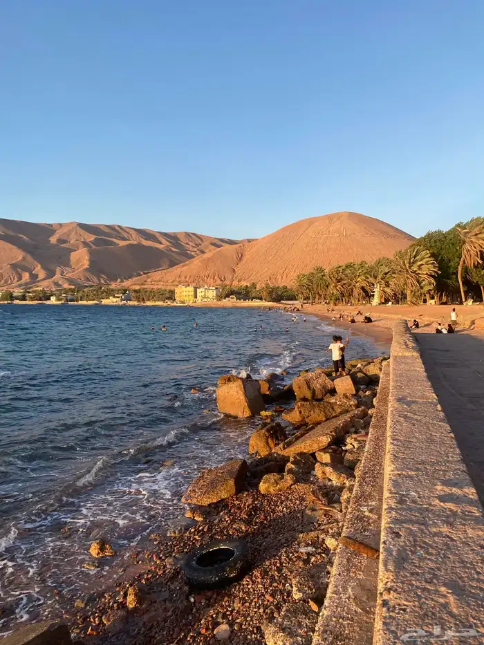 مطلوب حقل 0