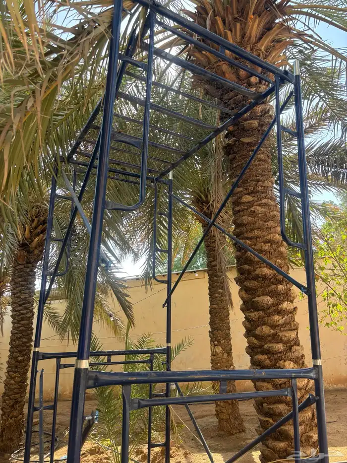 سقاله 0